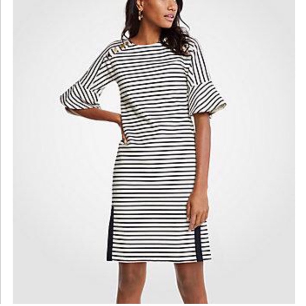 Ann Taylor Striped Fluted Sleeve Shift Dress In Night Sky Women’s Size Small